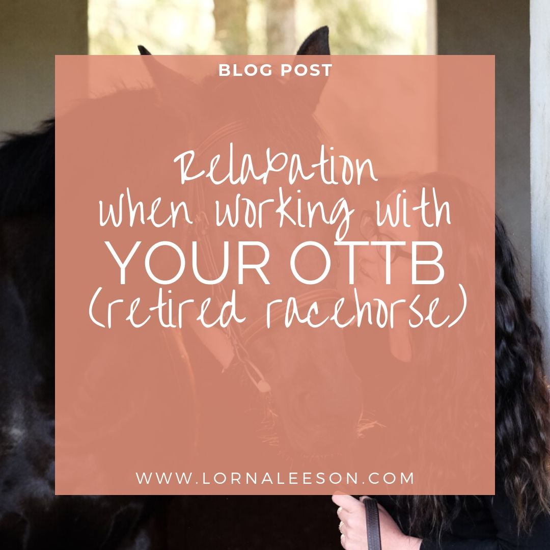 Working on Relaxation with Your OTTB